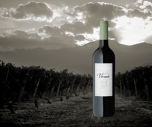 Versado Malbec 2018 returns to Vintages