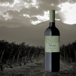 Versado 2019 Centenary Vines Malbec