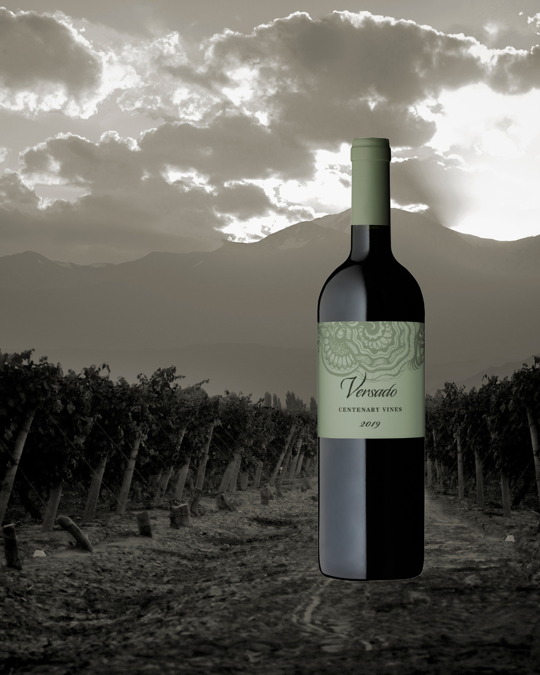 A new label coming to Vintages